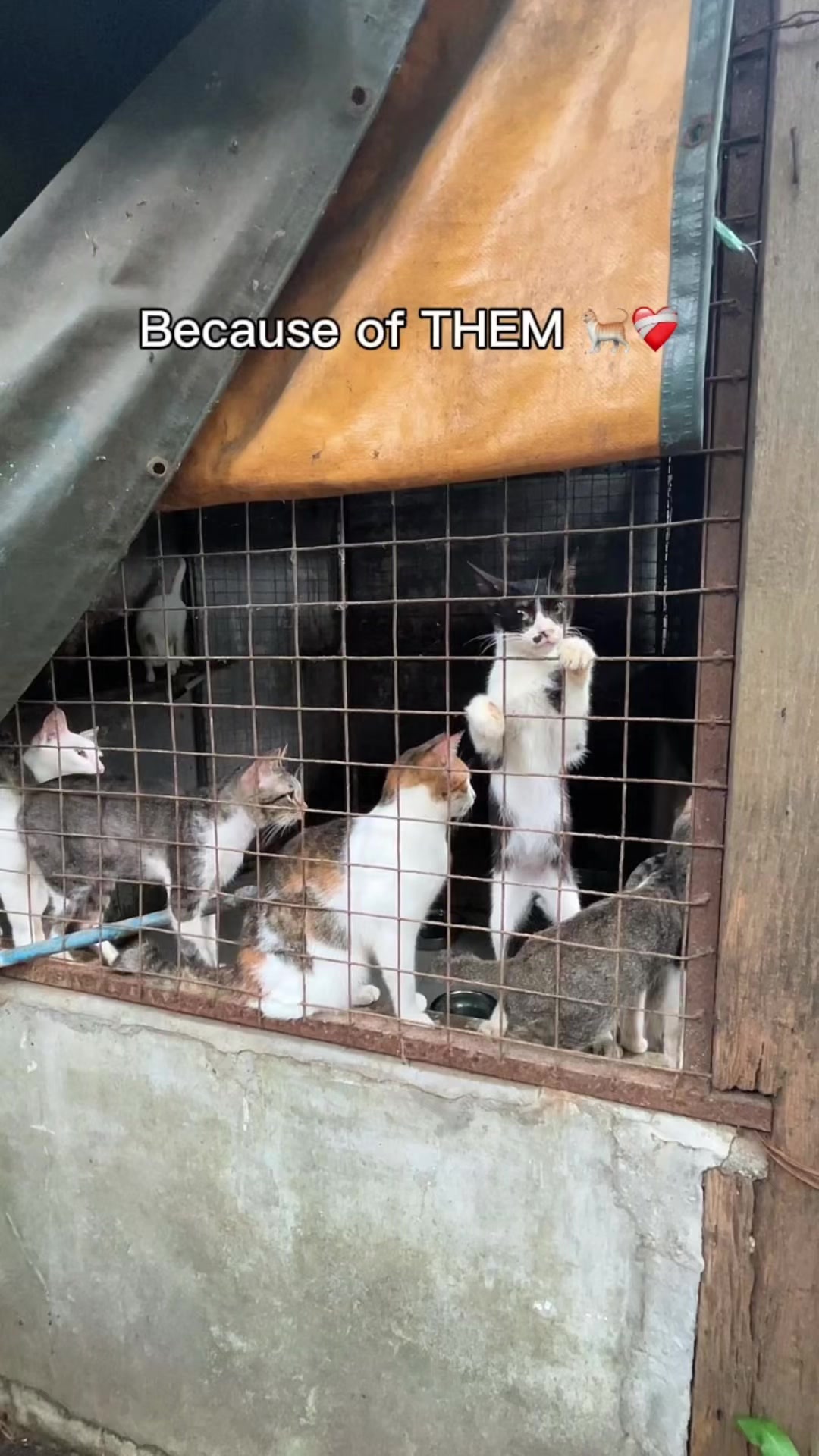 @rixha🐈💋