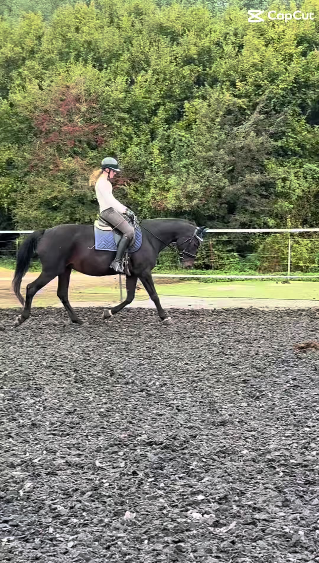 @herzenspferd_lucie❤️🥹
