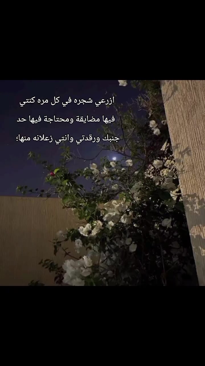 @لومي؟