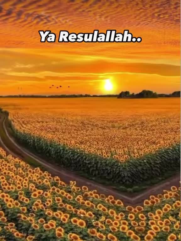 @İslam sayfası 🌸
