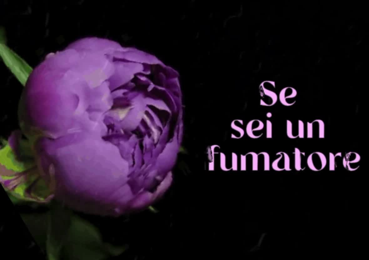 @❦._.✿