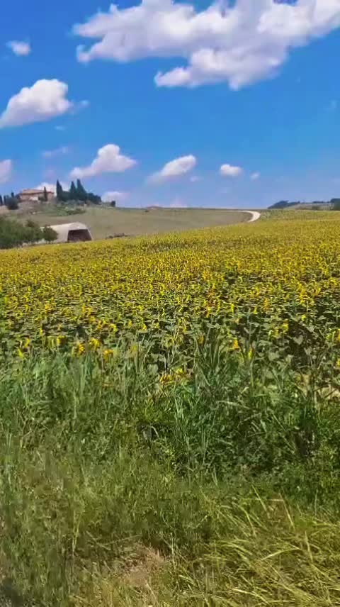 @Roberta65