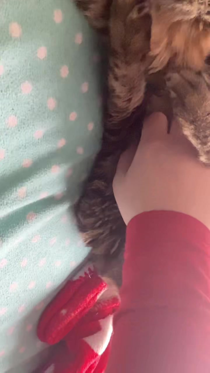 @kat_gurl