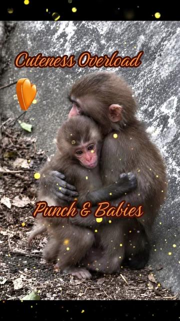 @𝓢𝓷𝓲𝓬𝓴𝓼 🐒
