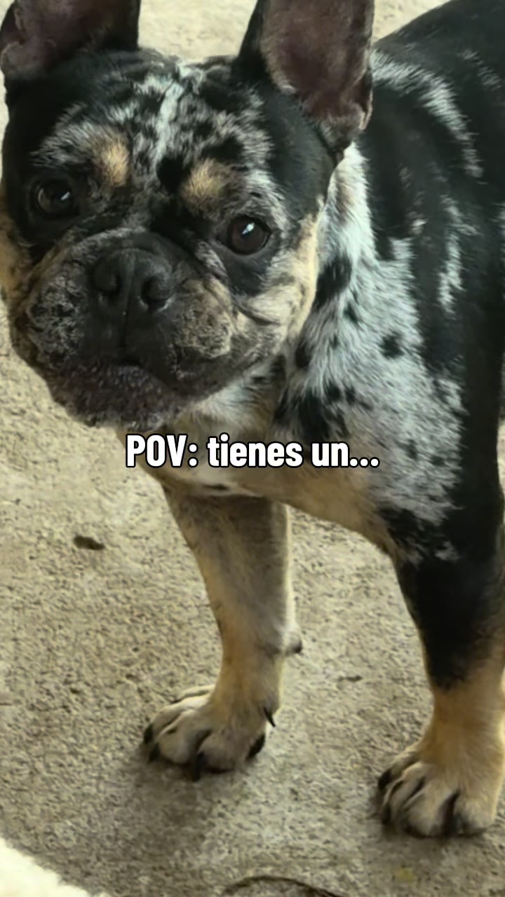 @Javier Urrutia