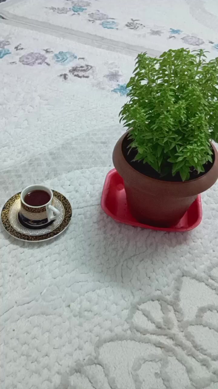 @Mehmet Can