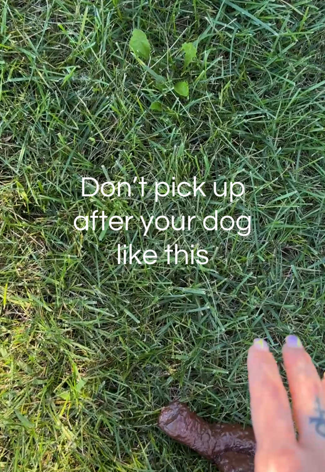 @earthrated