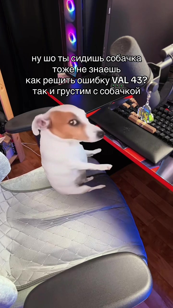 @martiano | стример