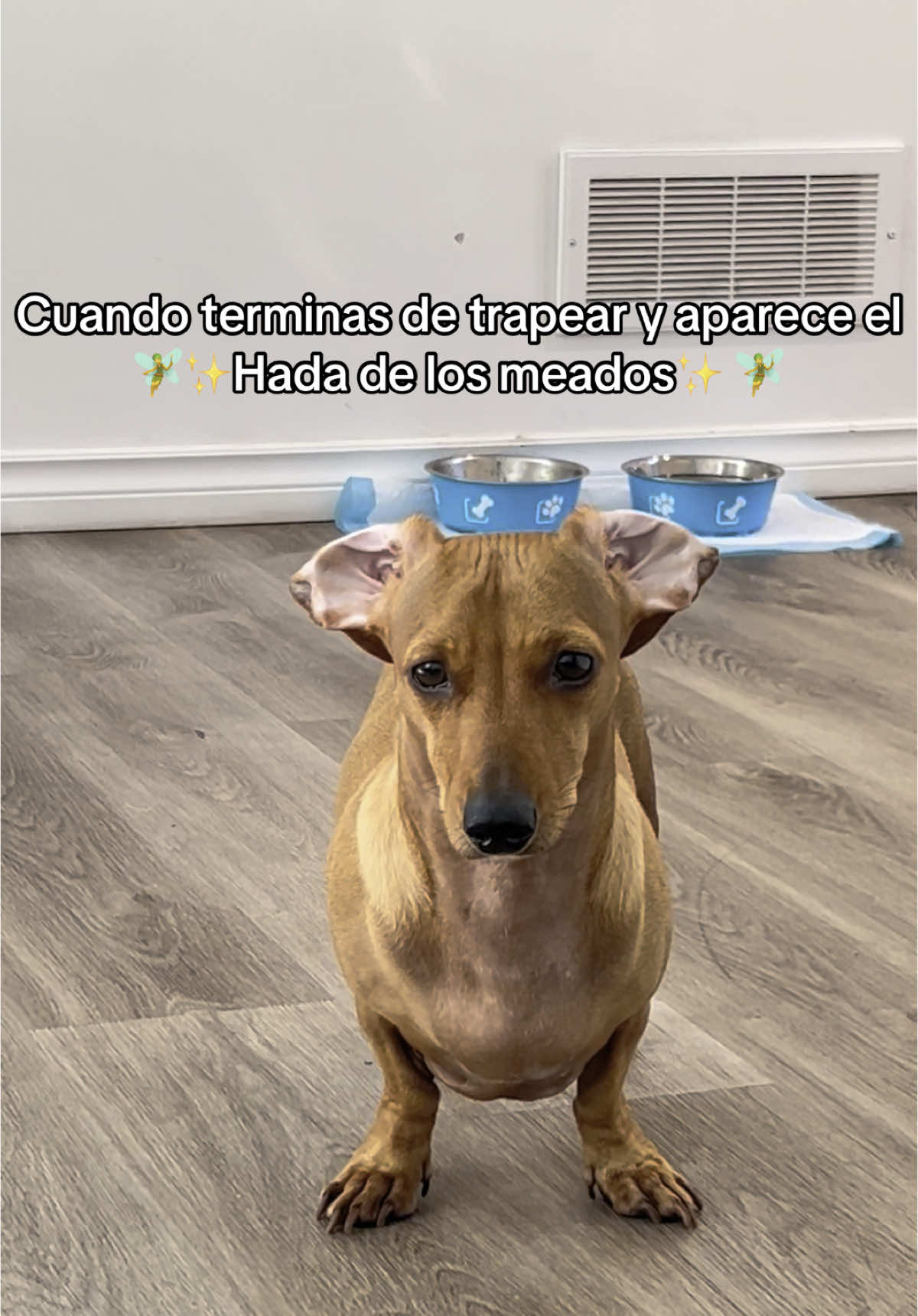 @Diana Bernal