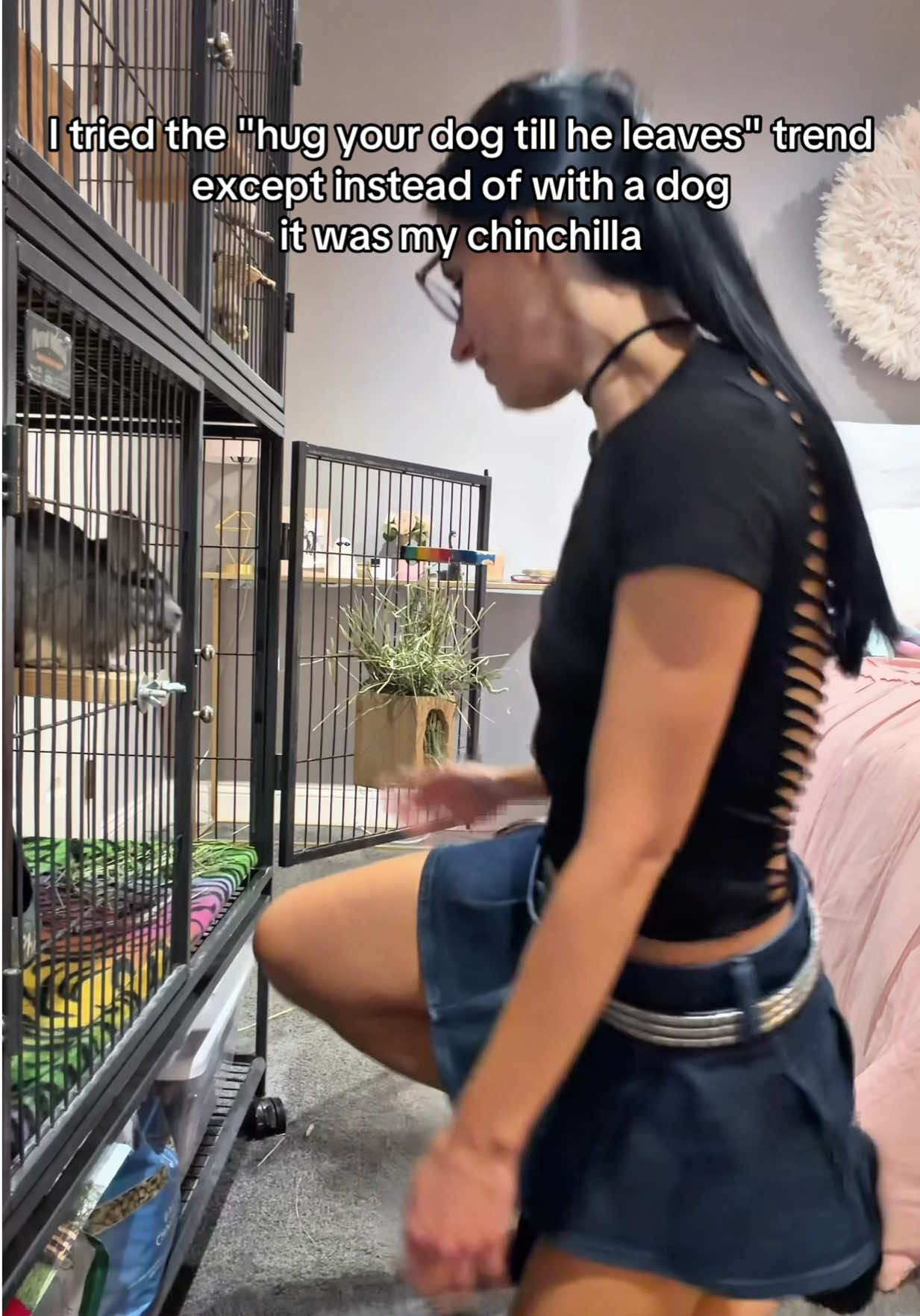 @Phil E. Chinchilla