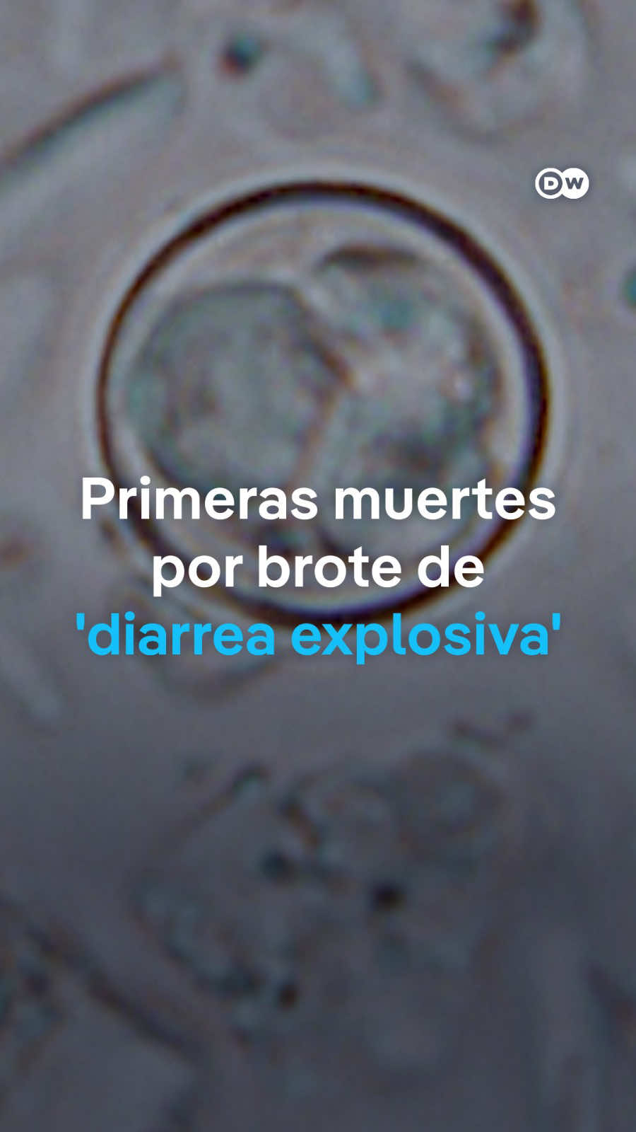 @DW Español