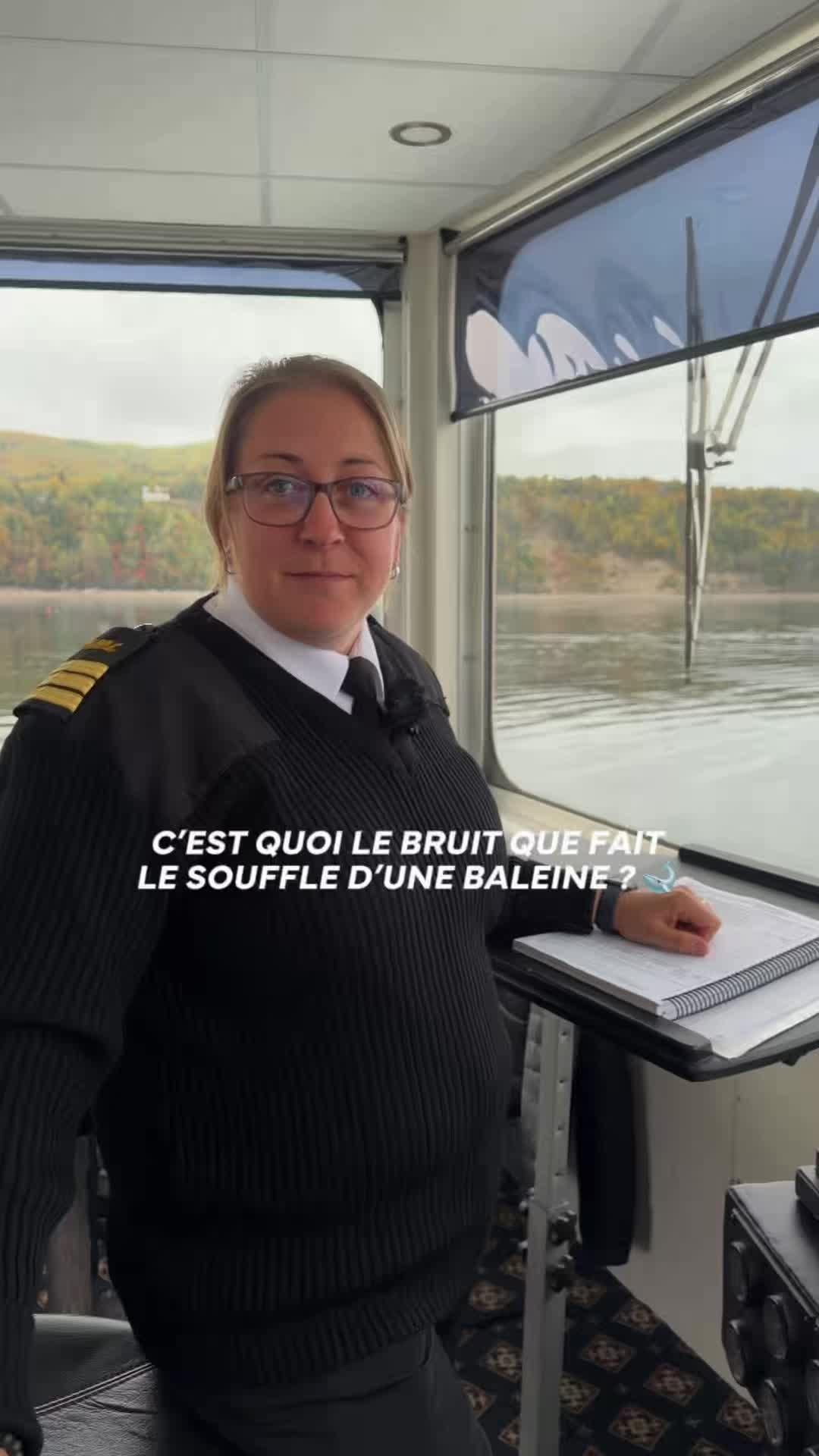 @Croisières AML