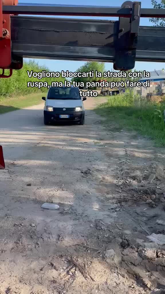 @Sgrinzii