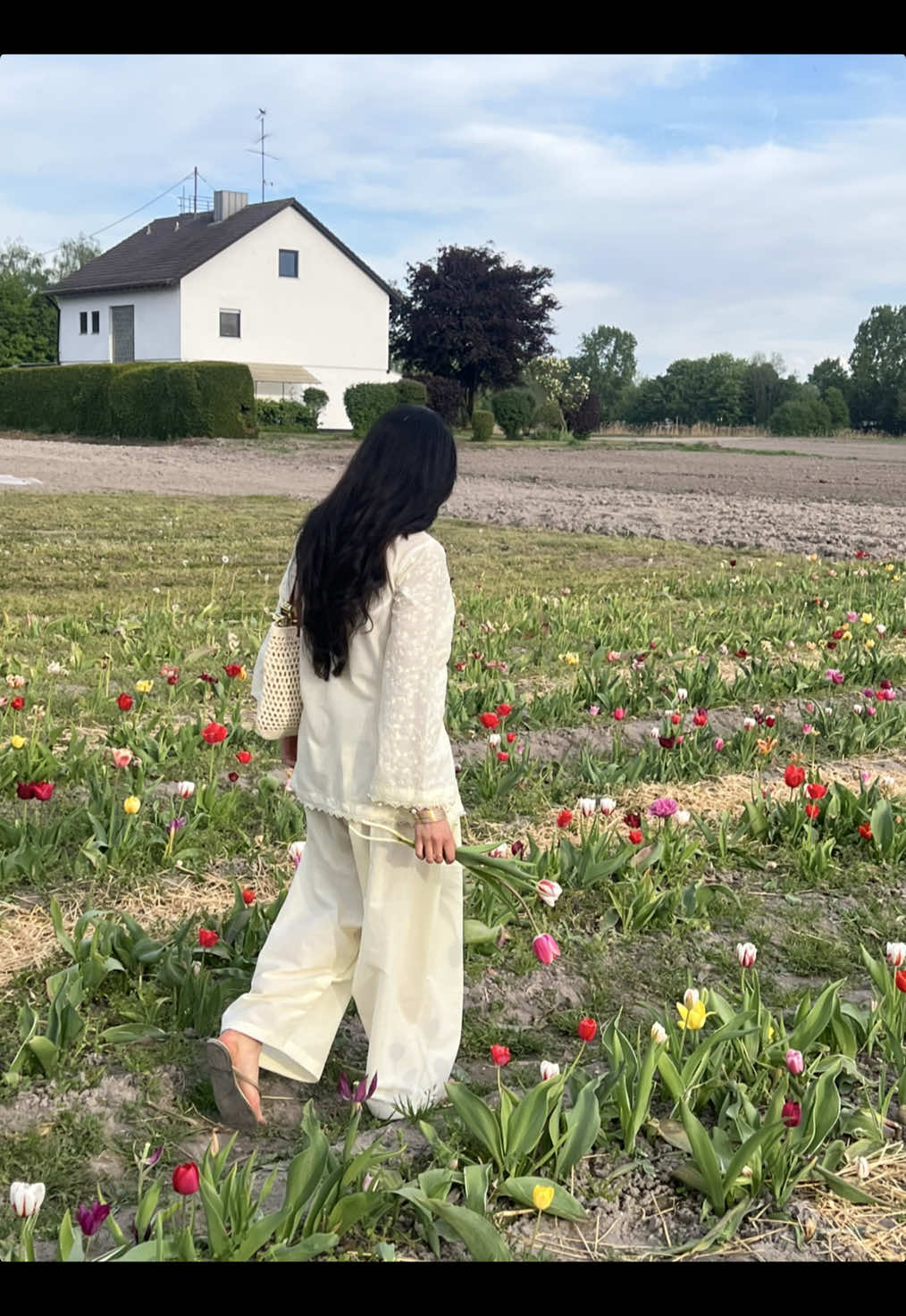 @alinabushra