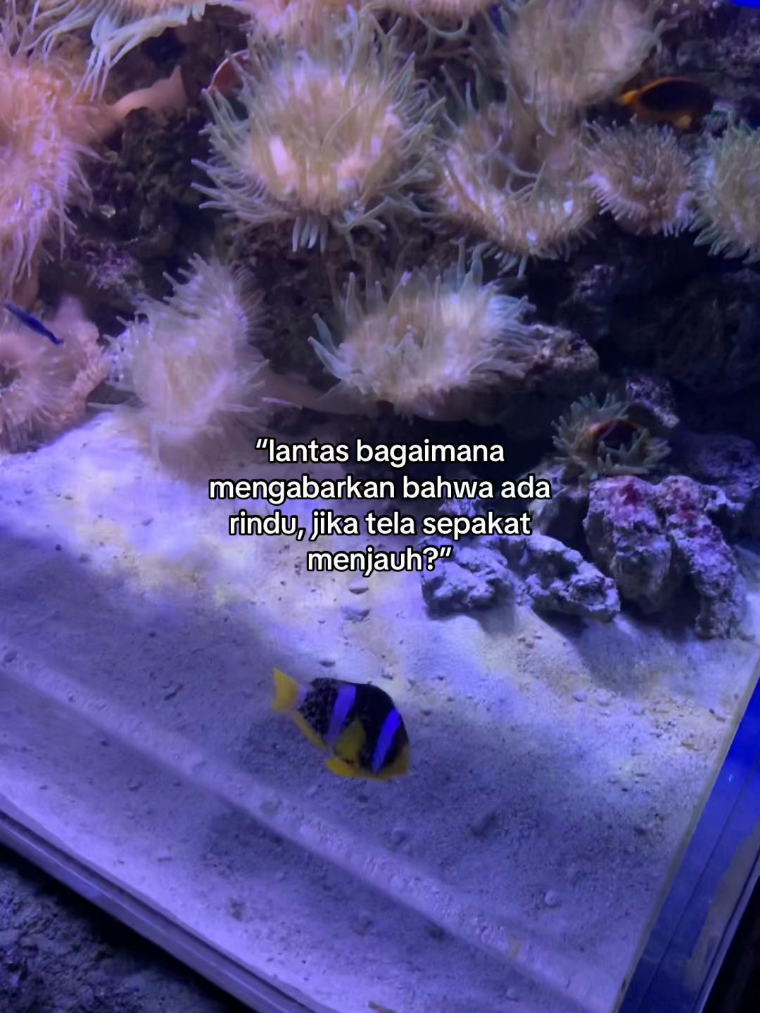 @its.me