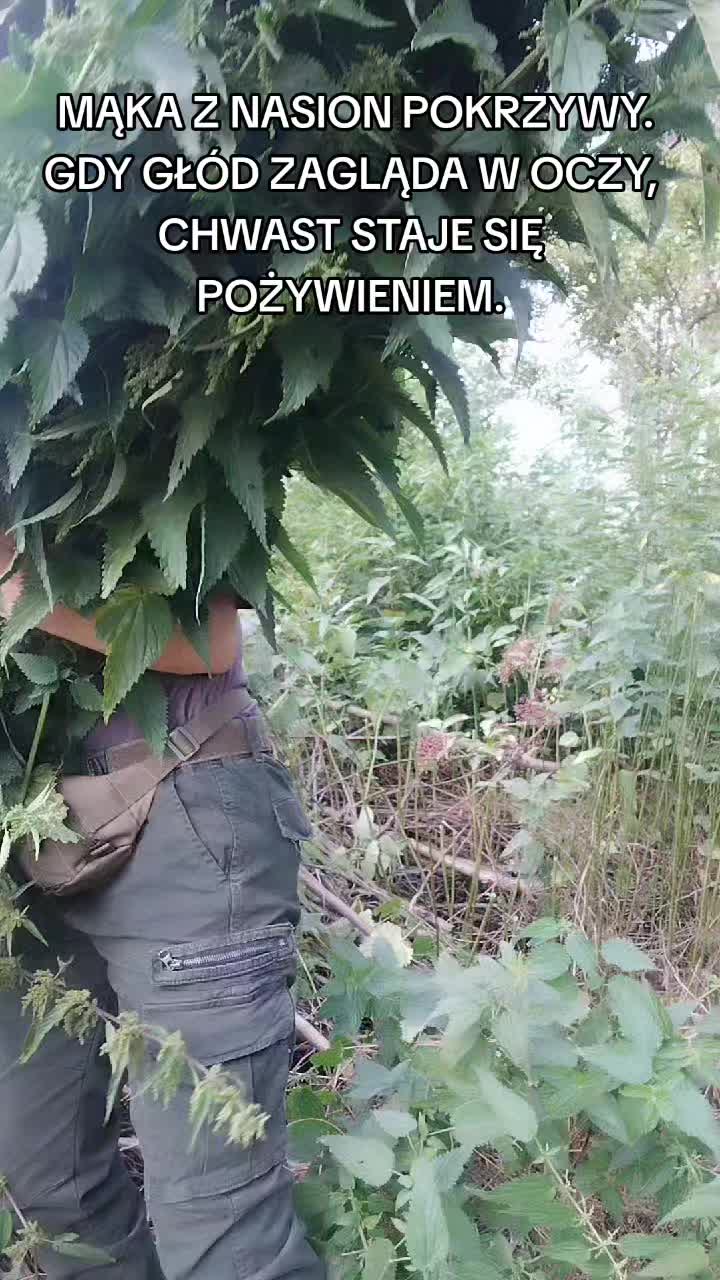 @Zielsko Szeptuchy
