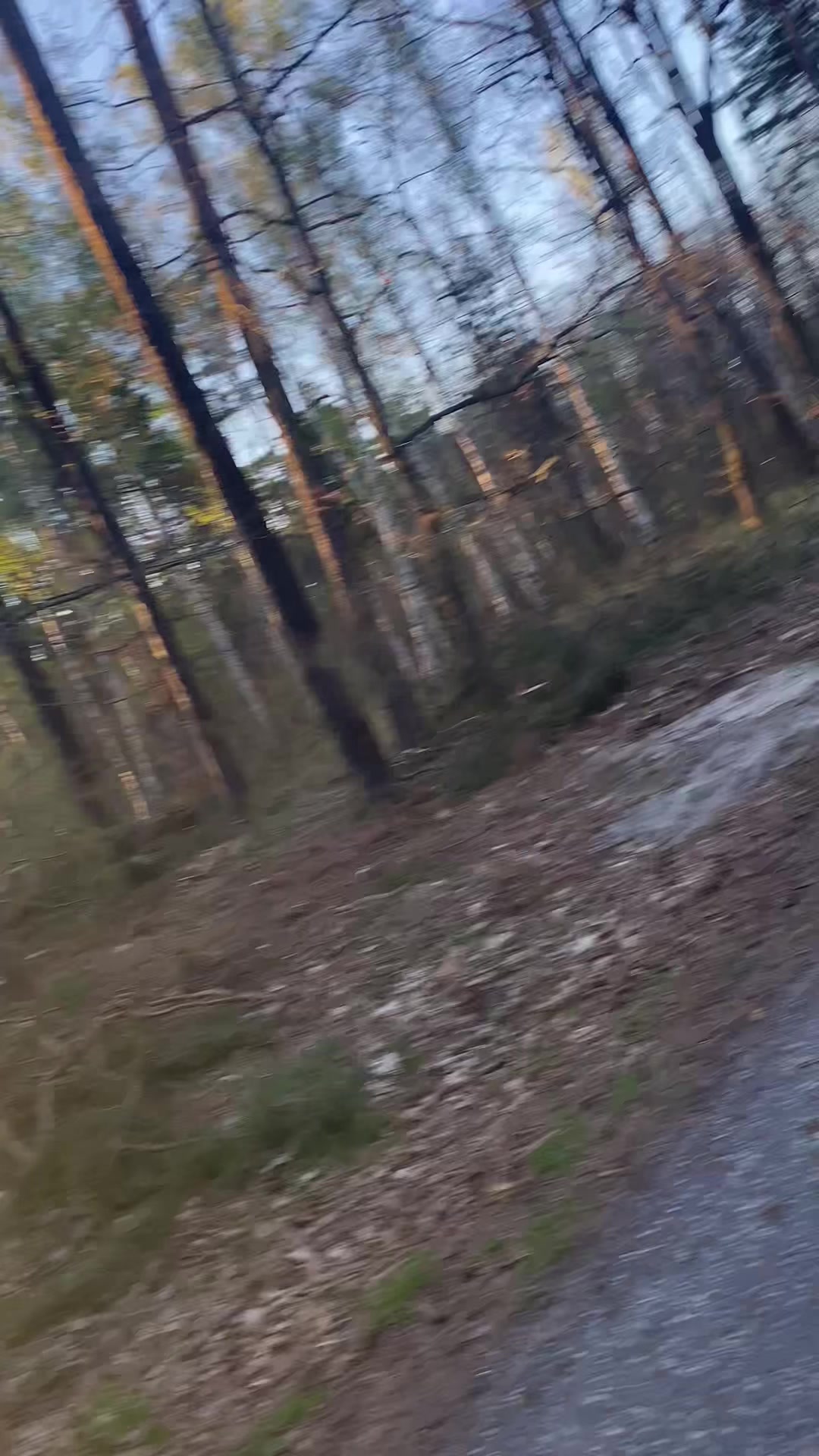 @Tiefflieger_Martin