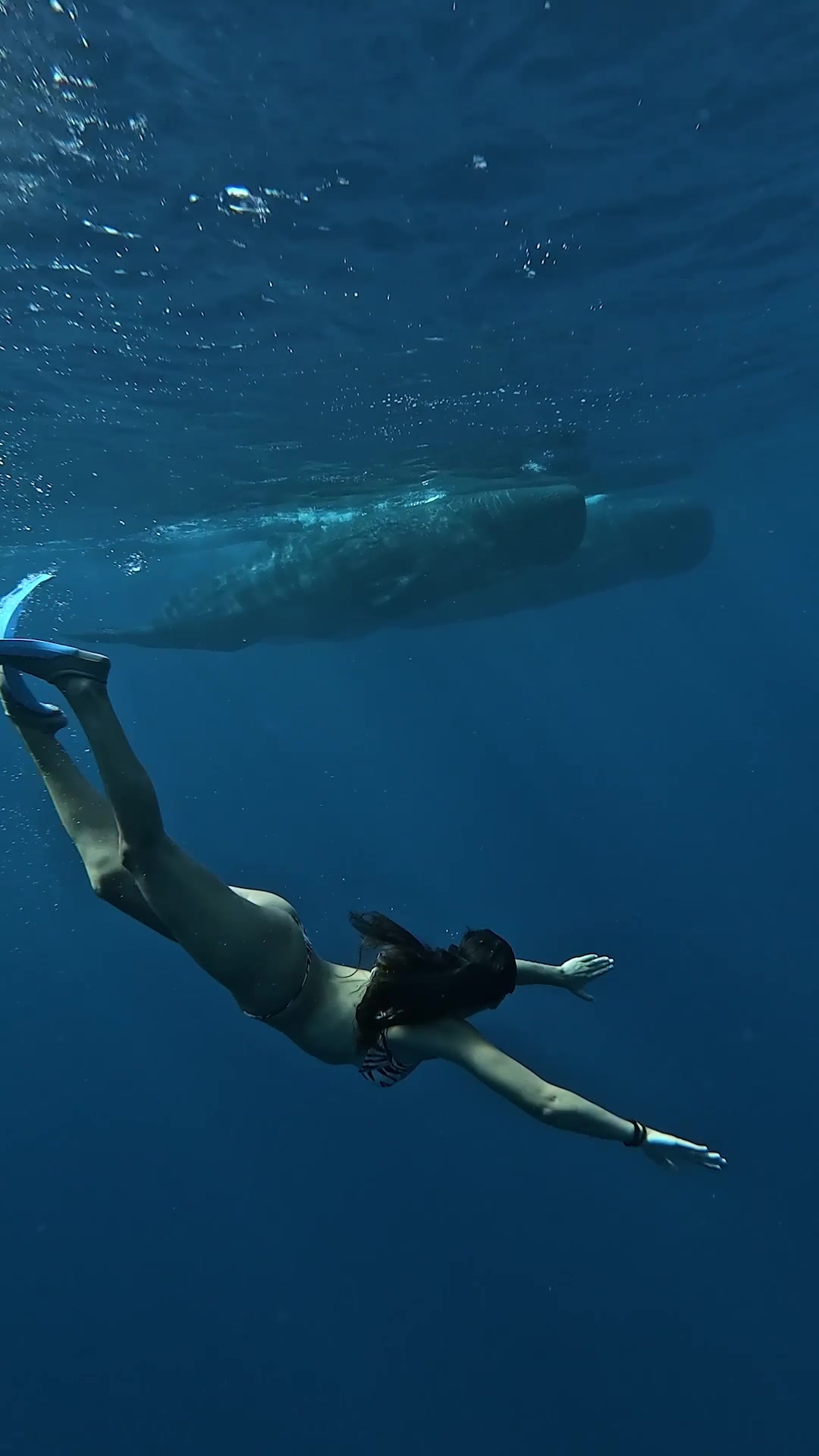 @Maria