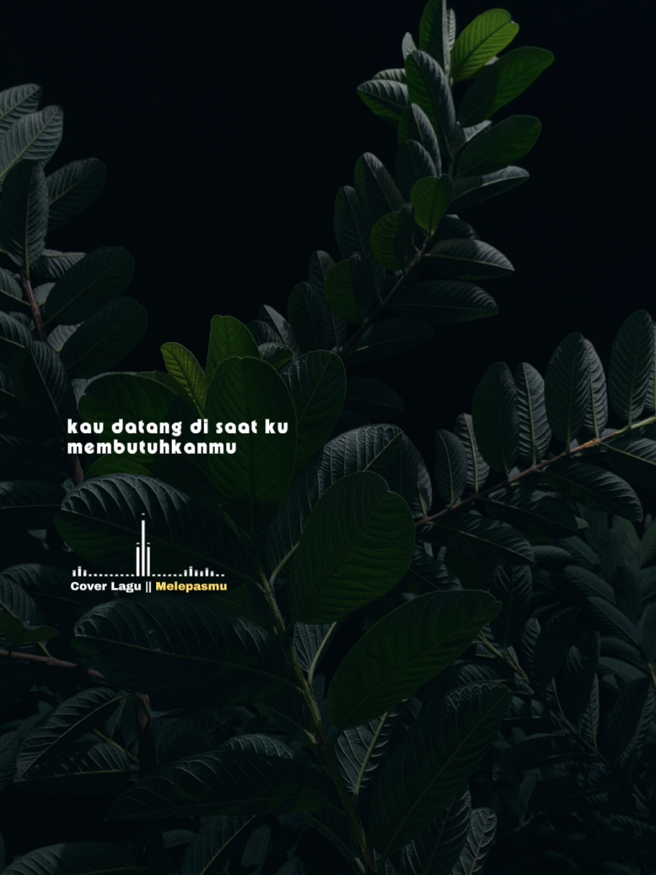 @𝐋𝐢𝐫𝐢𝐤 𝐒𝐞𝐝𝐞𝐫𝐡𝐚𝐧𝐚