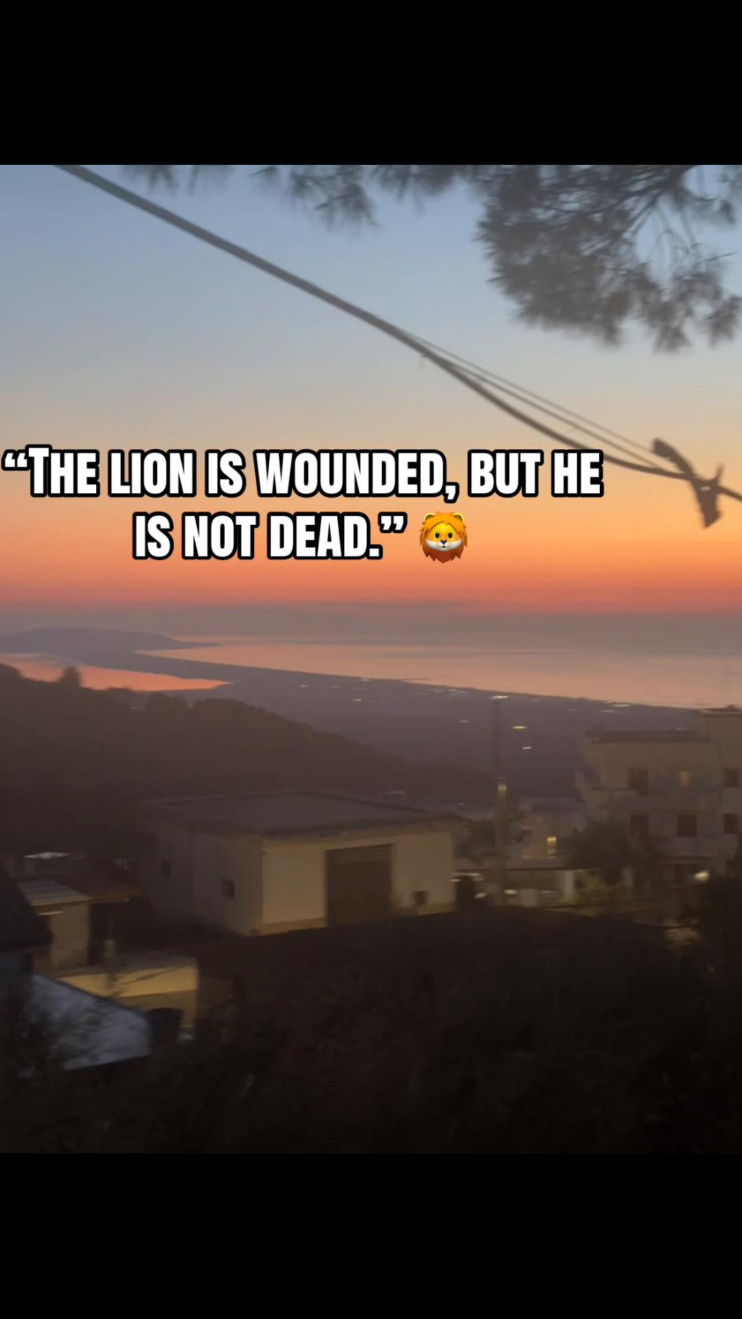 @𝓕𝓮𝓕𝓮'🏋️&zwj;♀️ Matteo 🫀