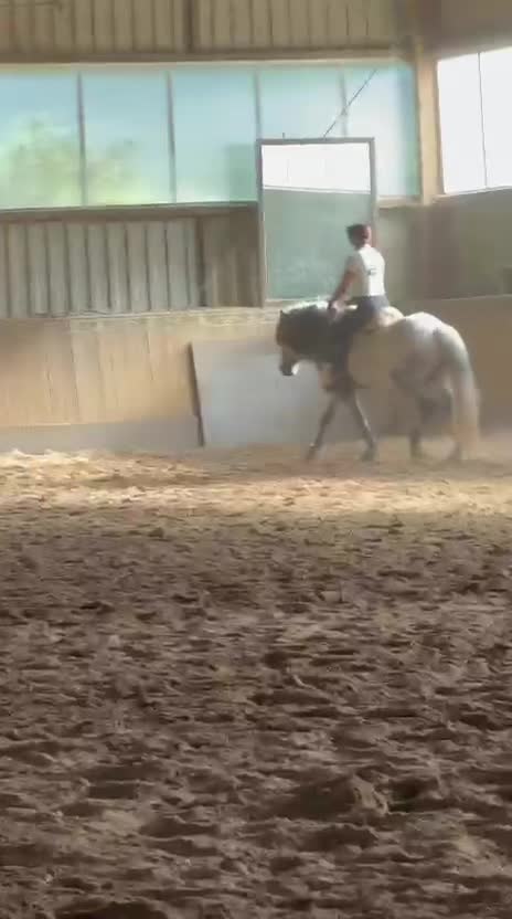 @Horses