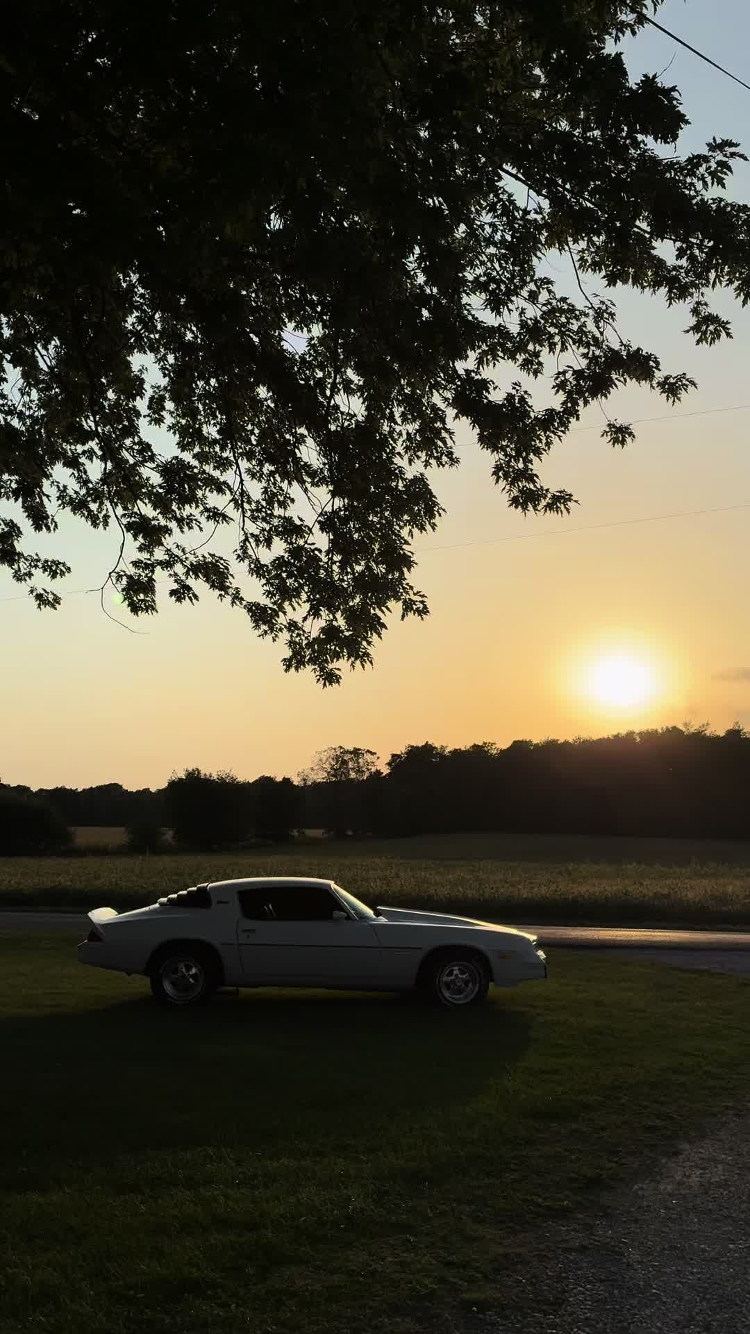 @79_Camaro