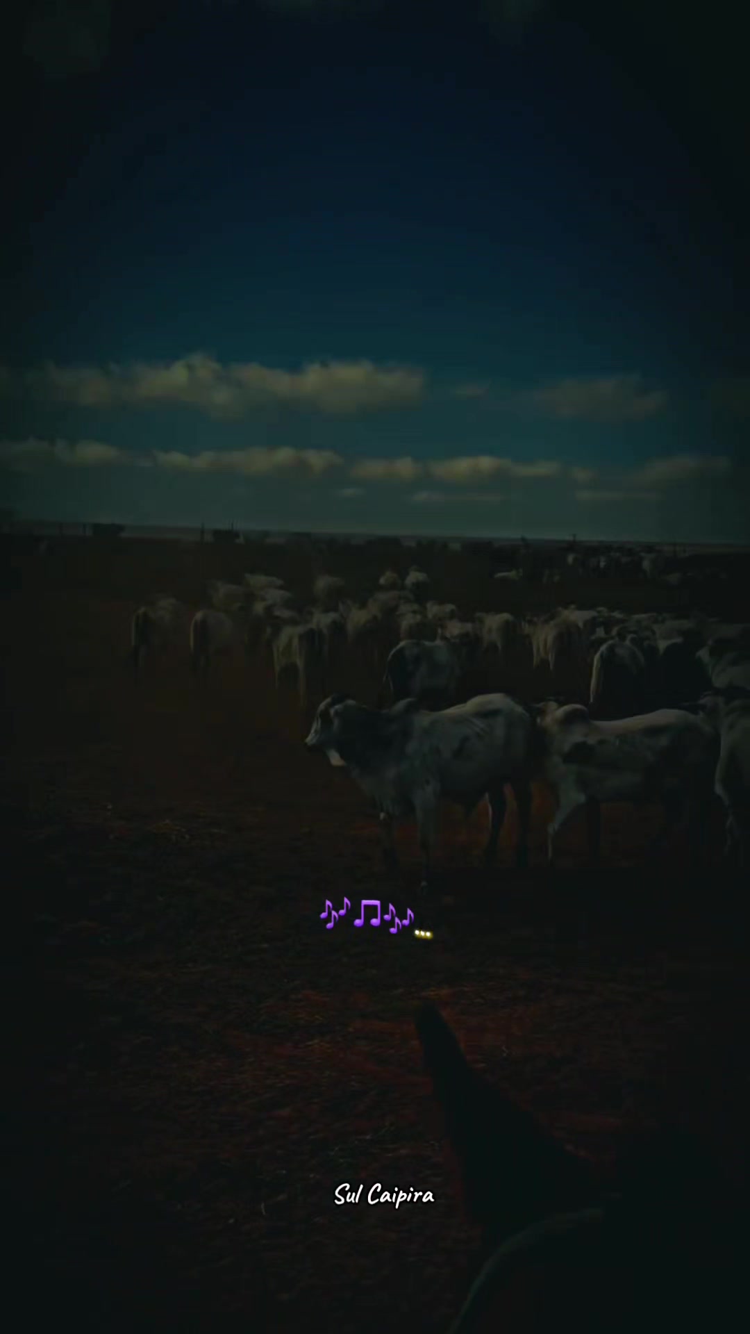 @Sul Caipira