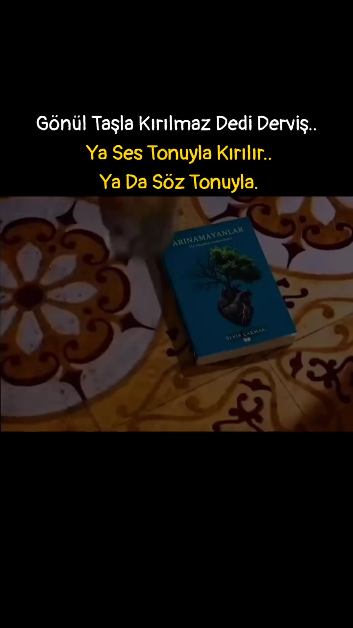 @Berk Özgür