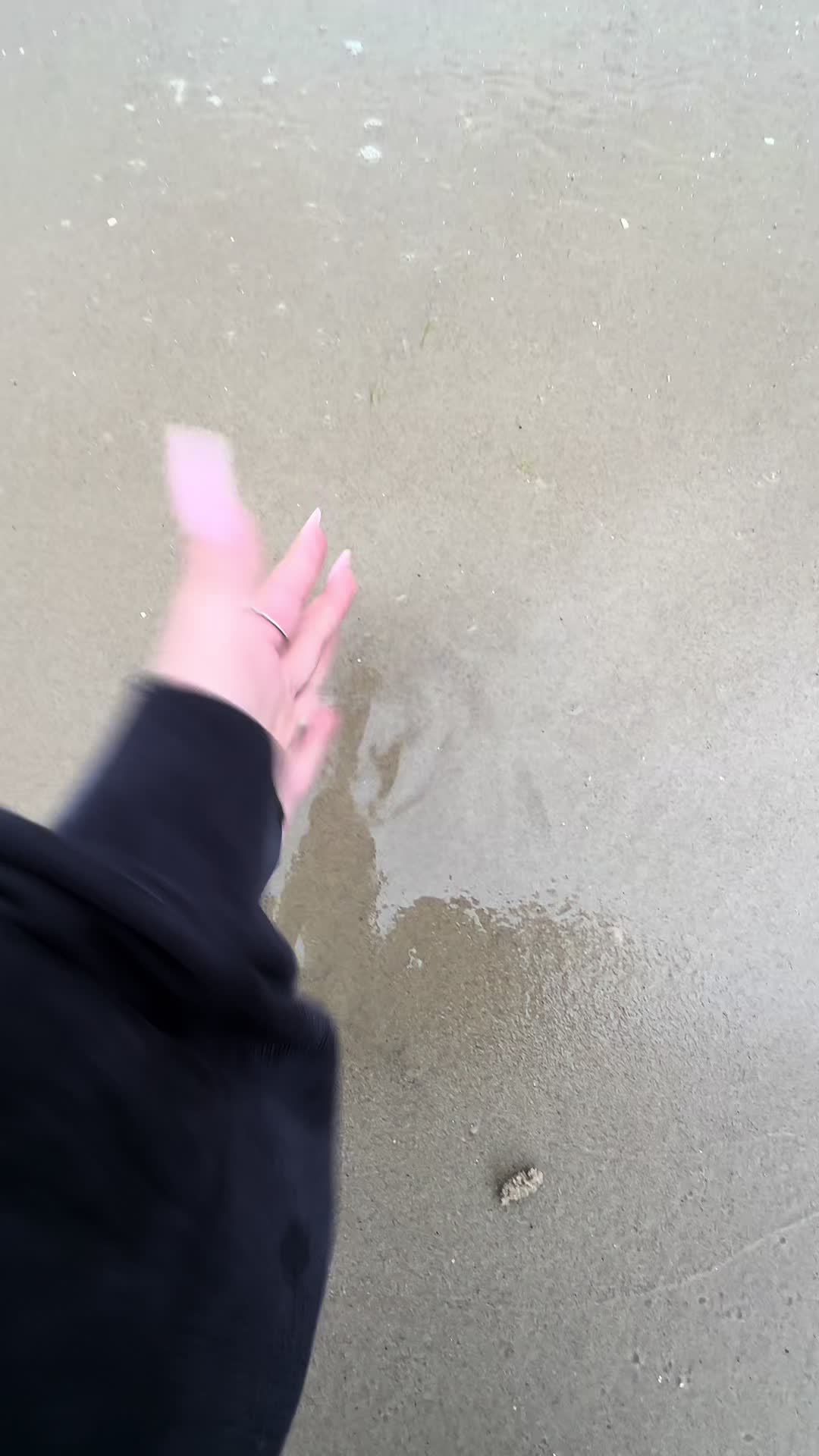 @🦚