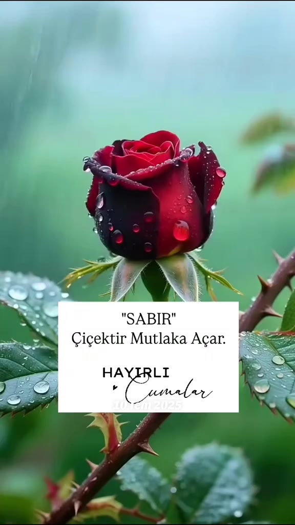 @🌺🌺HATİCE 🌺🌺
