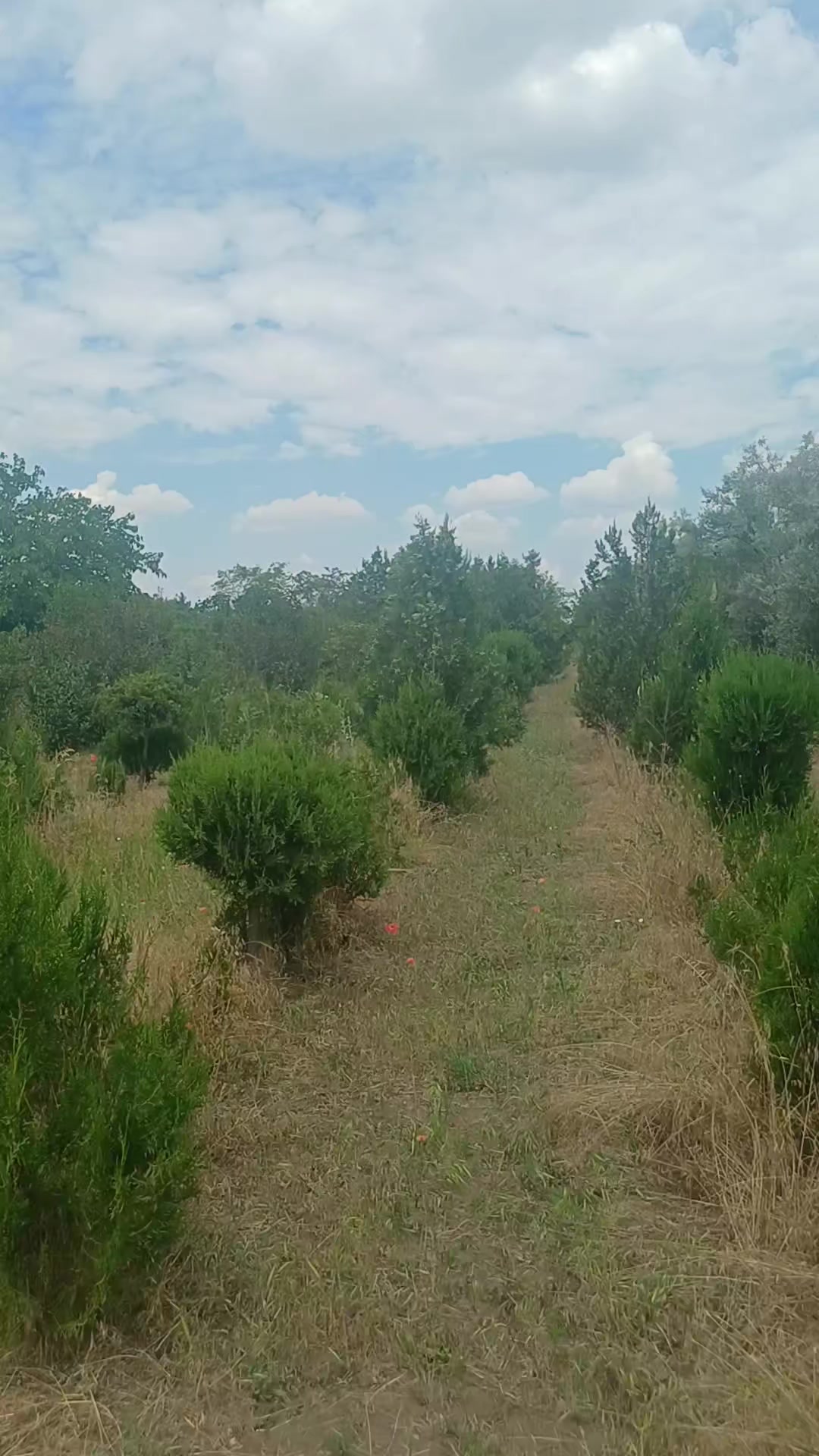 @Саша ( Метр )