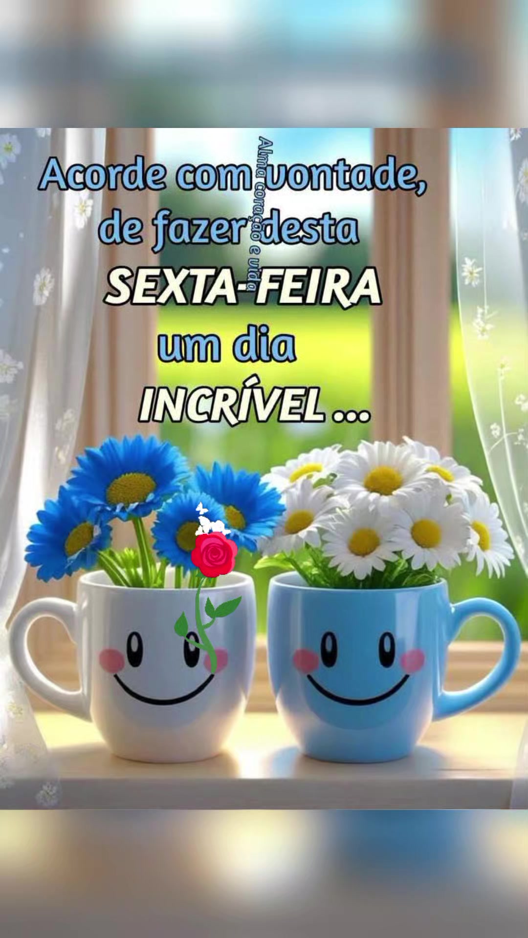 @Valdirene Soares 37
