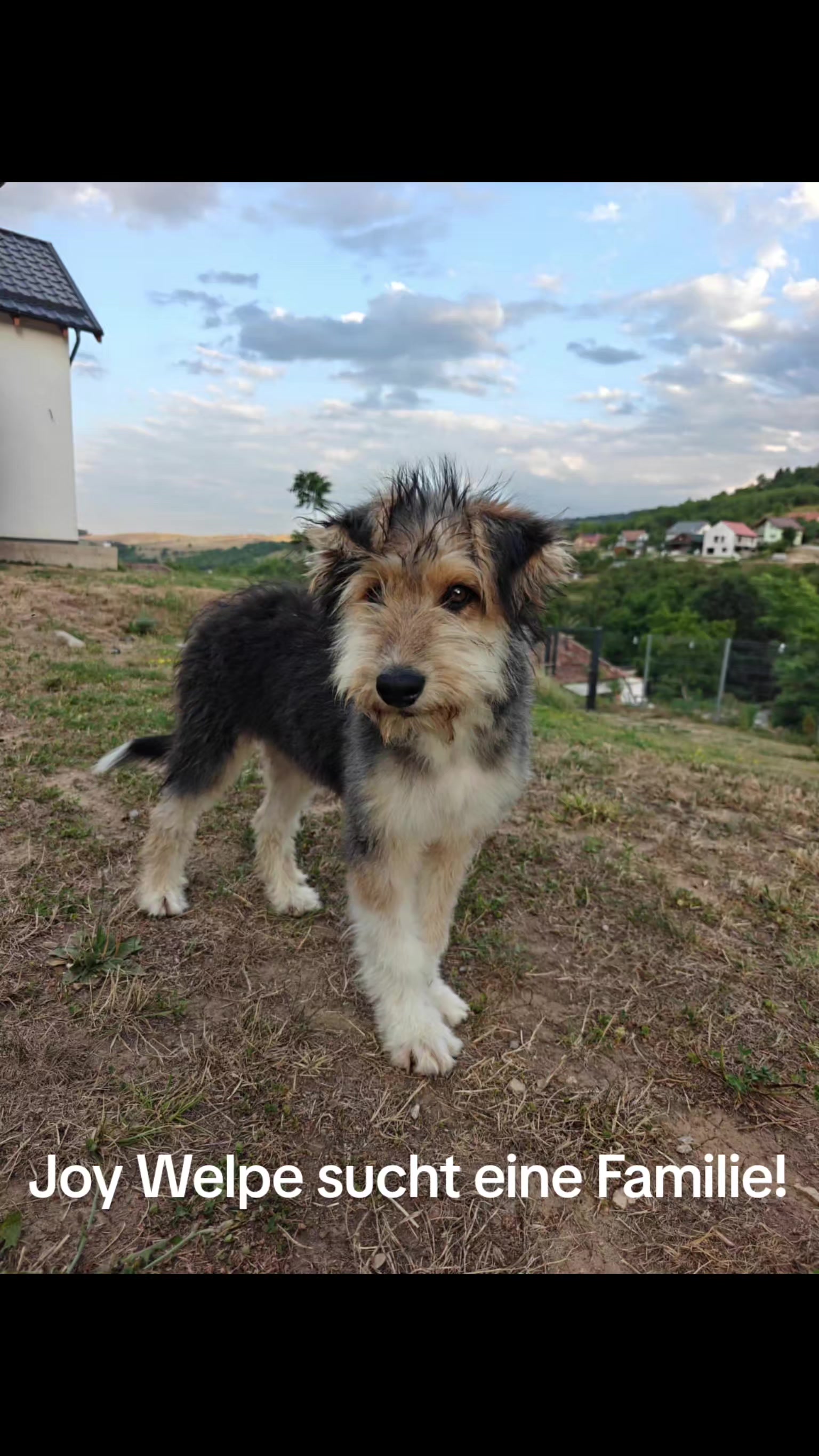 @Sandra Lelke