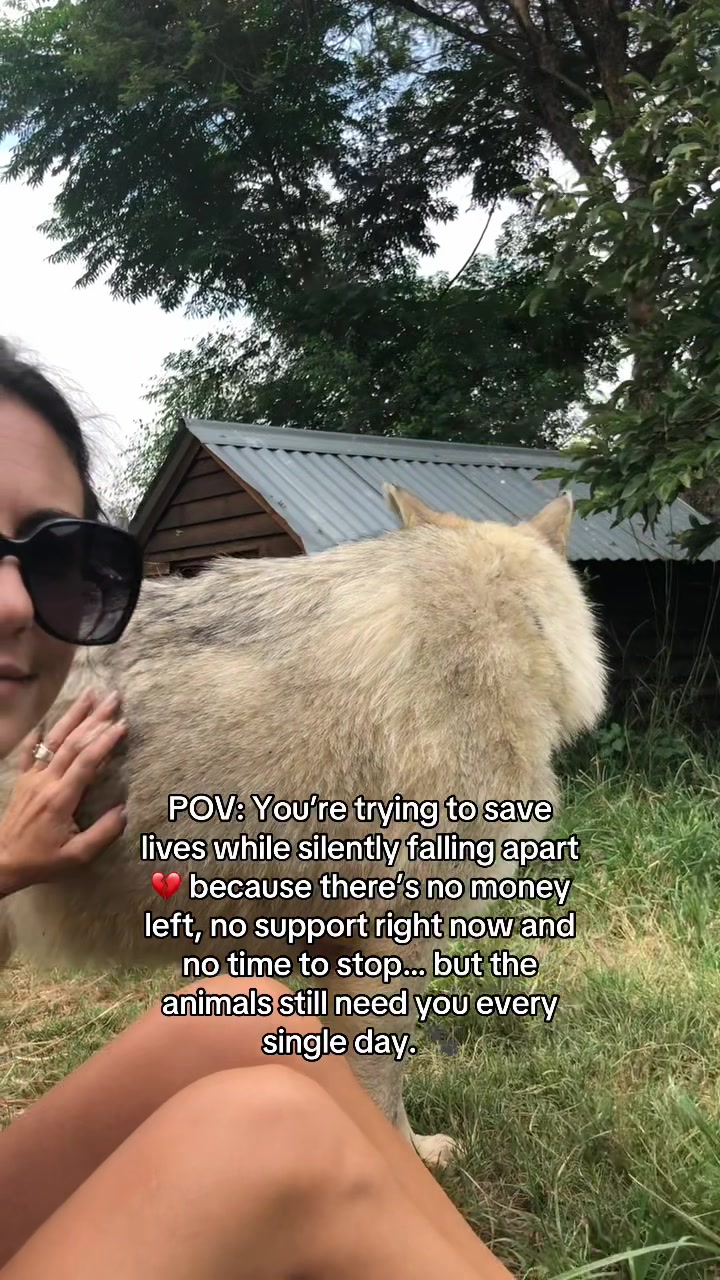 @allheartsfoundation