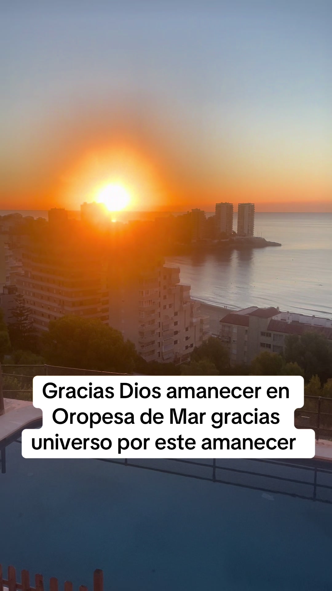 @Carmen Tomás 13