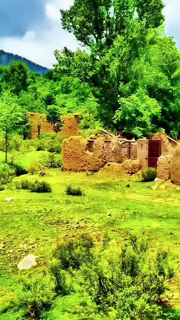 @🫀کـرمیــــوال زڑگــــو🫀