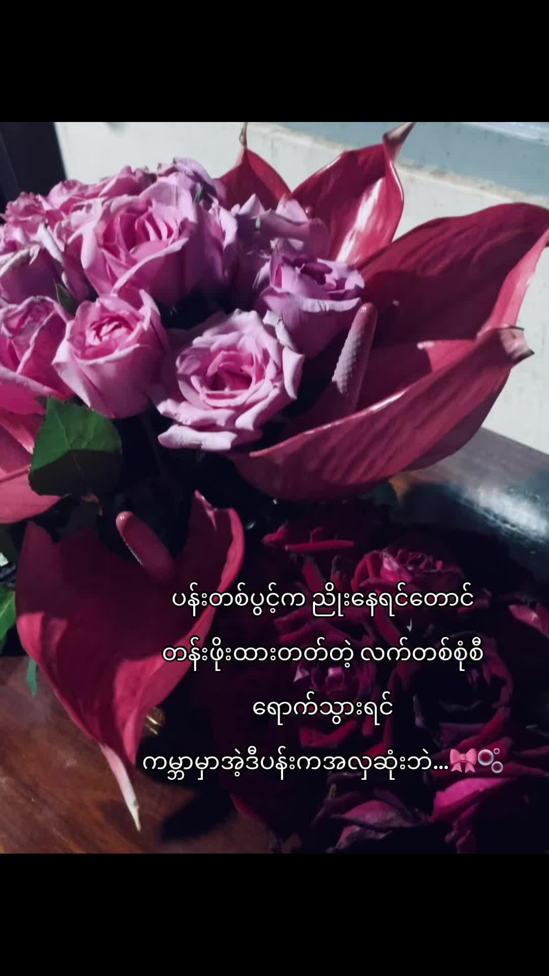 @_PXOO_🦂