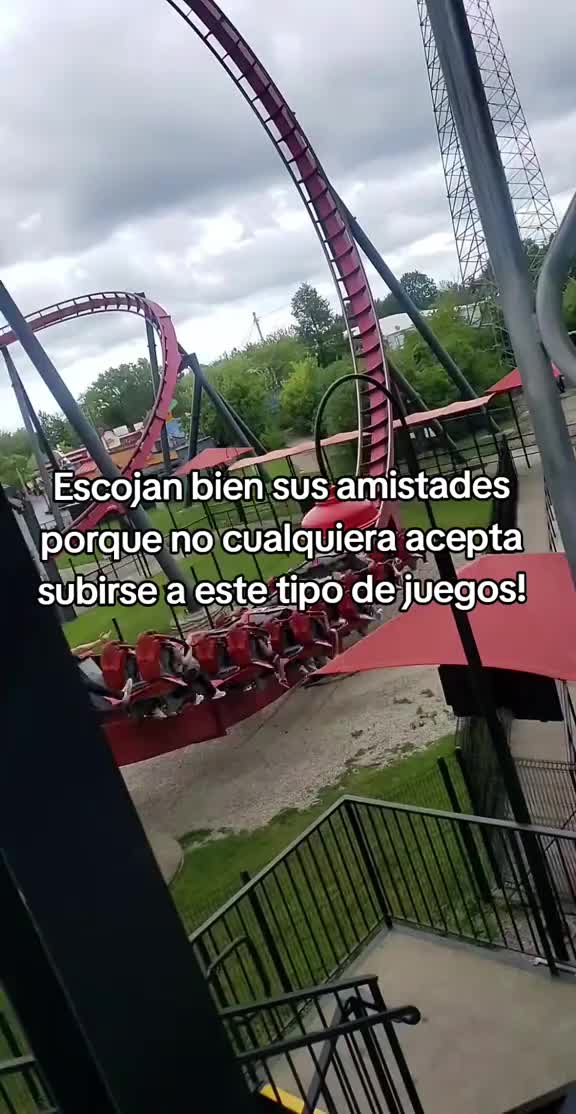 @Mayra Krystel