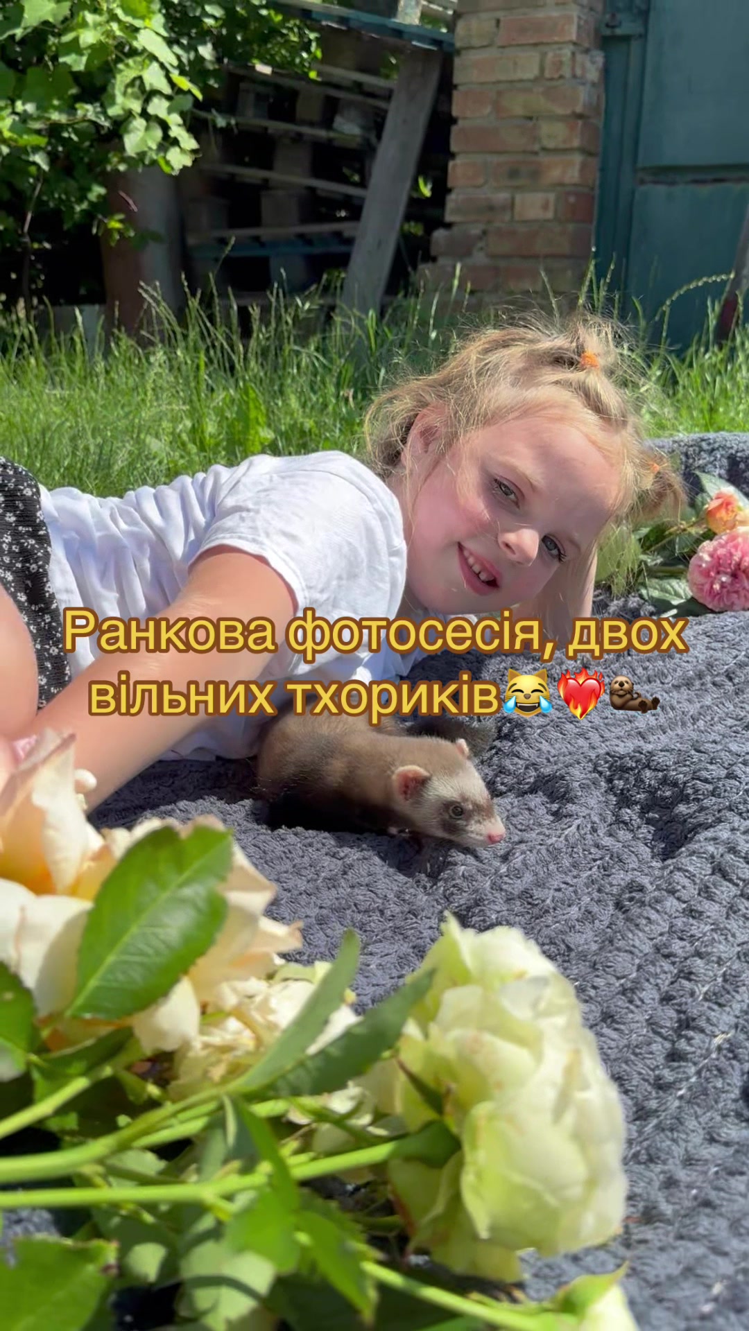 @🦦 Хорьки Київ 🇺🇦