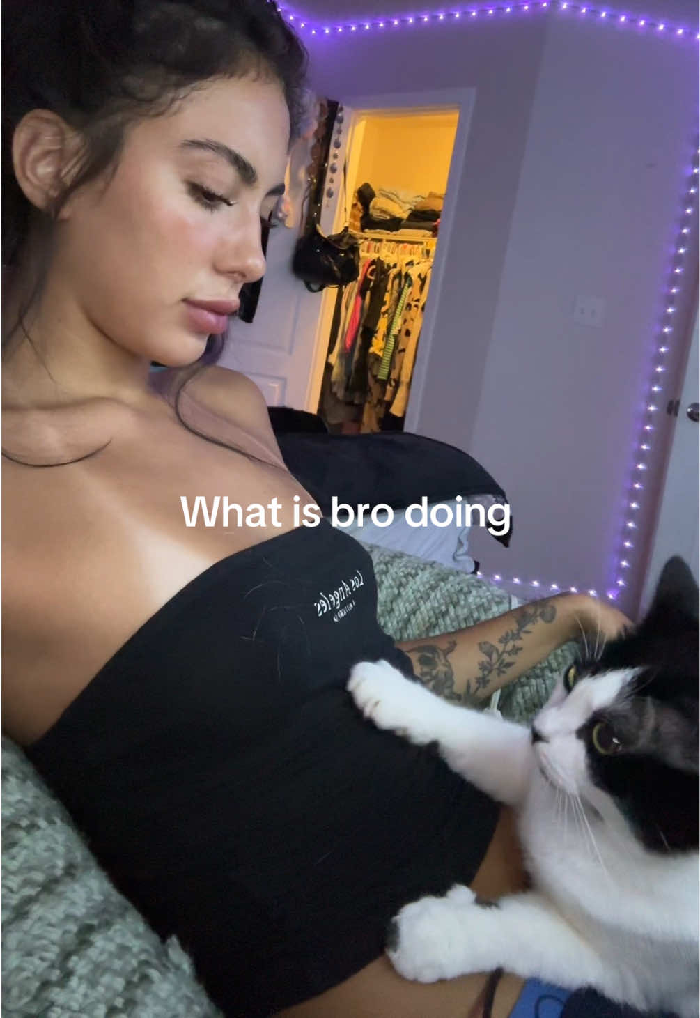 @phoenixarvidd