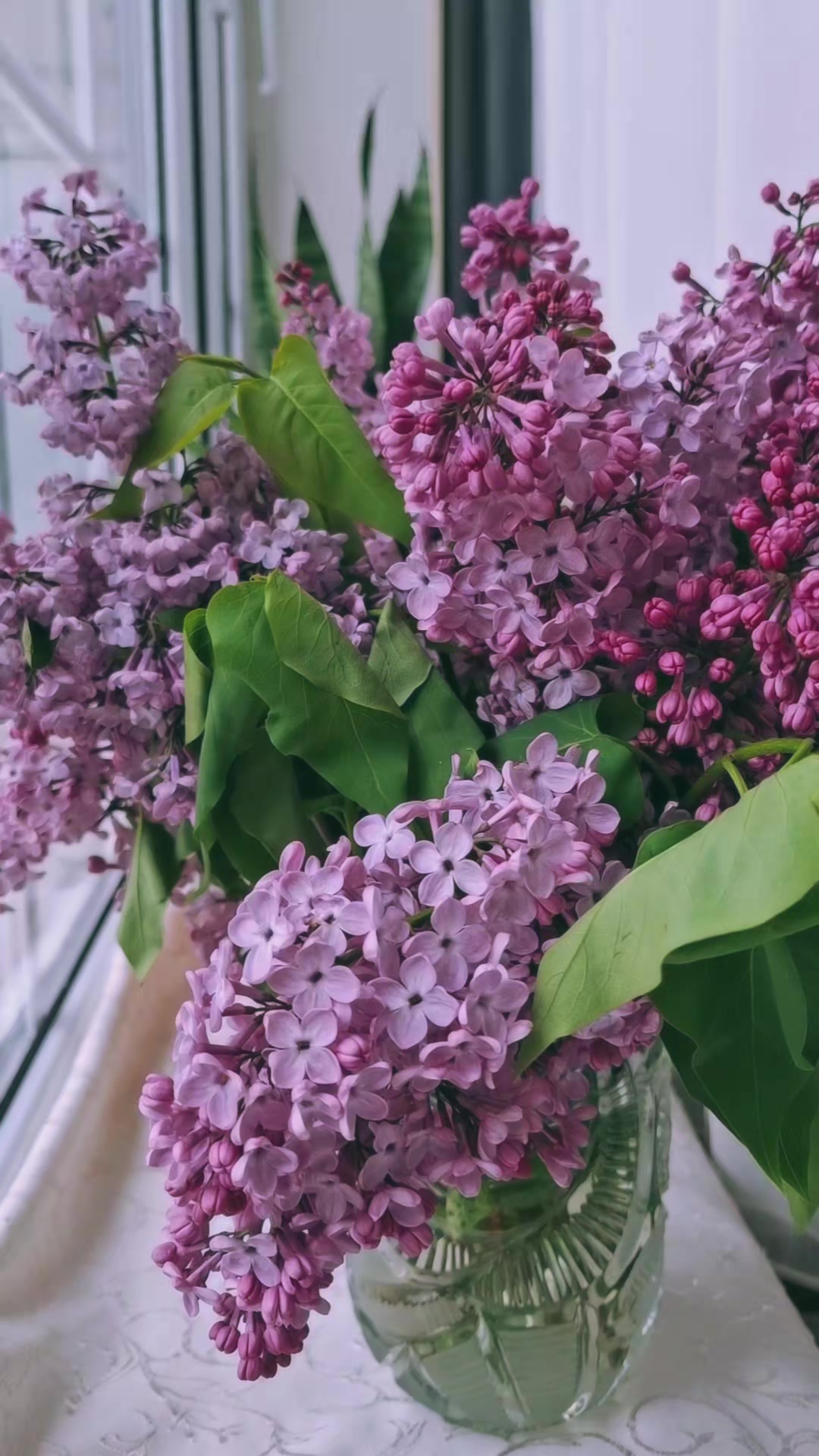 @𝓐𝓻𝔃𝓾_𝓜𝓪𝓭𝓪𝓭𝓸𝓿𝓪