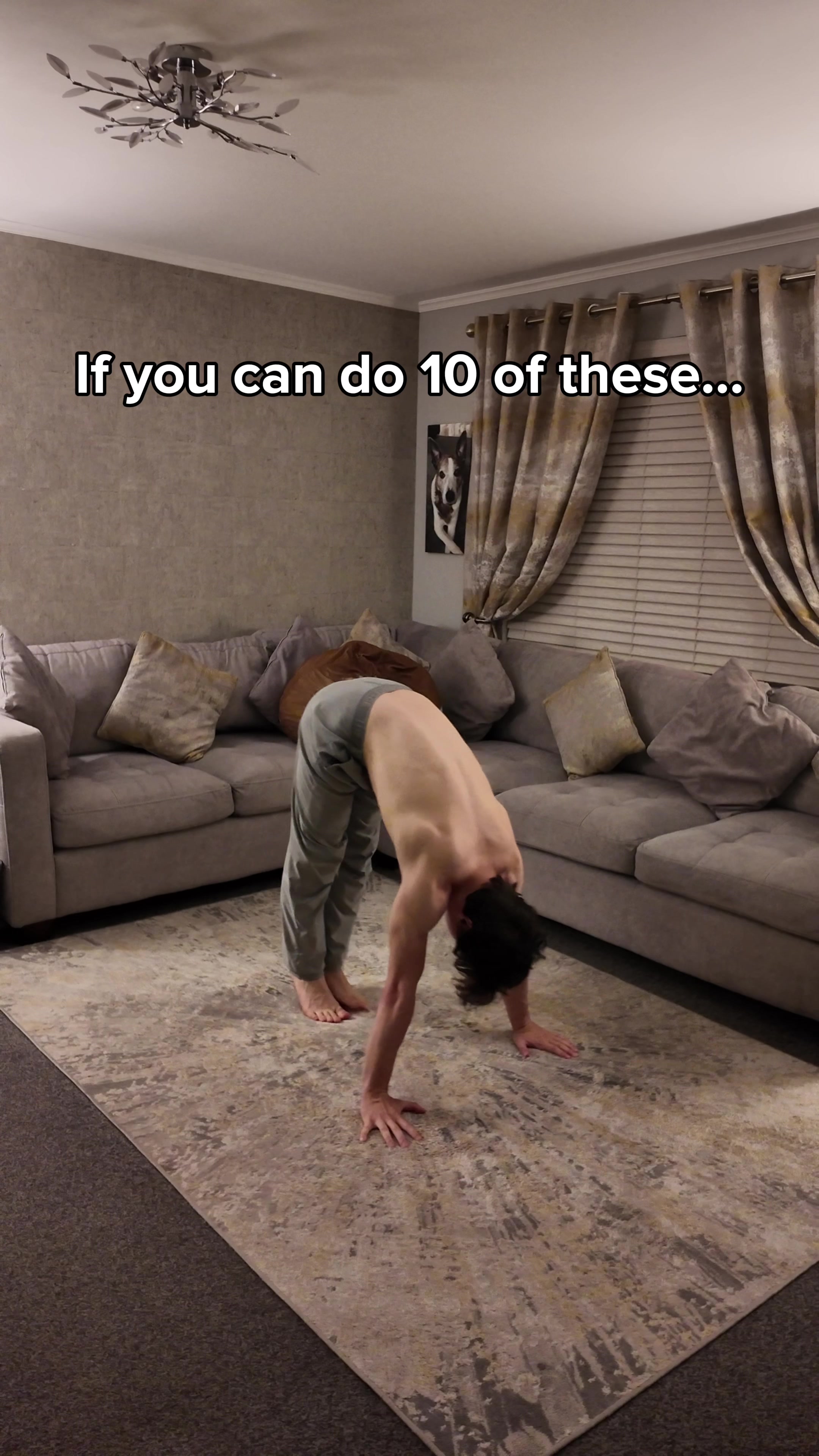 @Calvisthenics