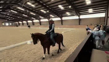 @Mindful Equine Ltd.