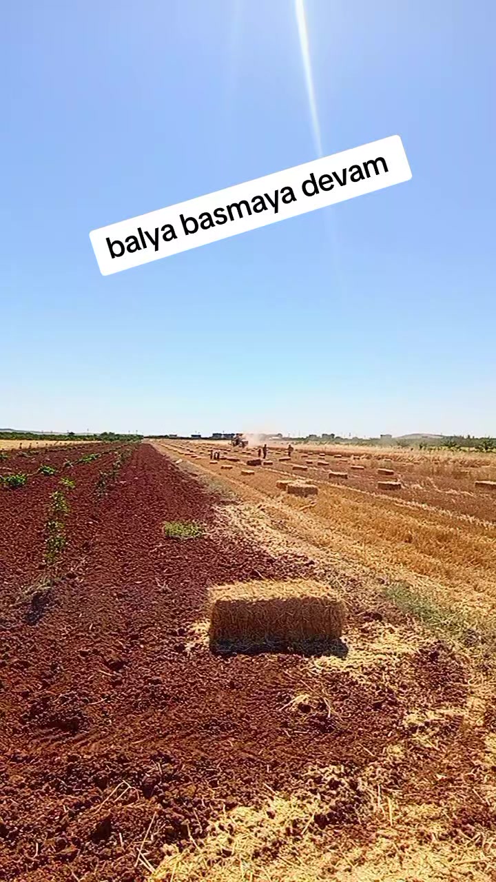 @Salim oruz