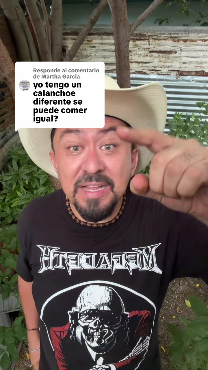 @ElHierbero
