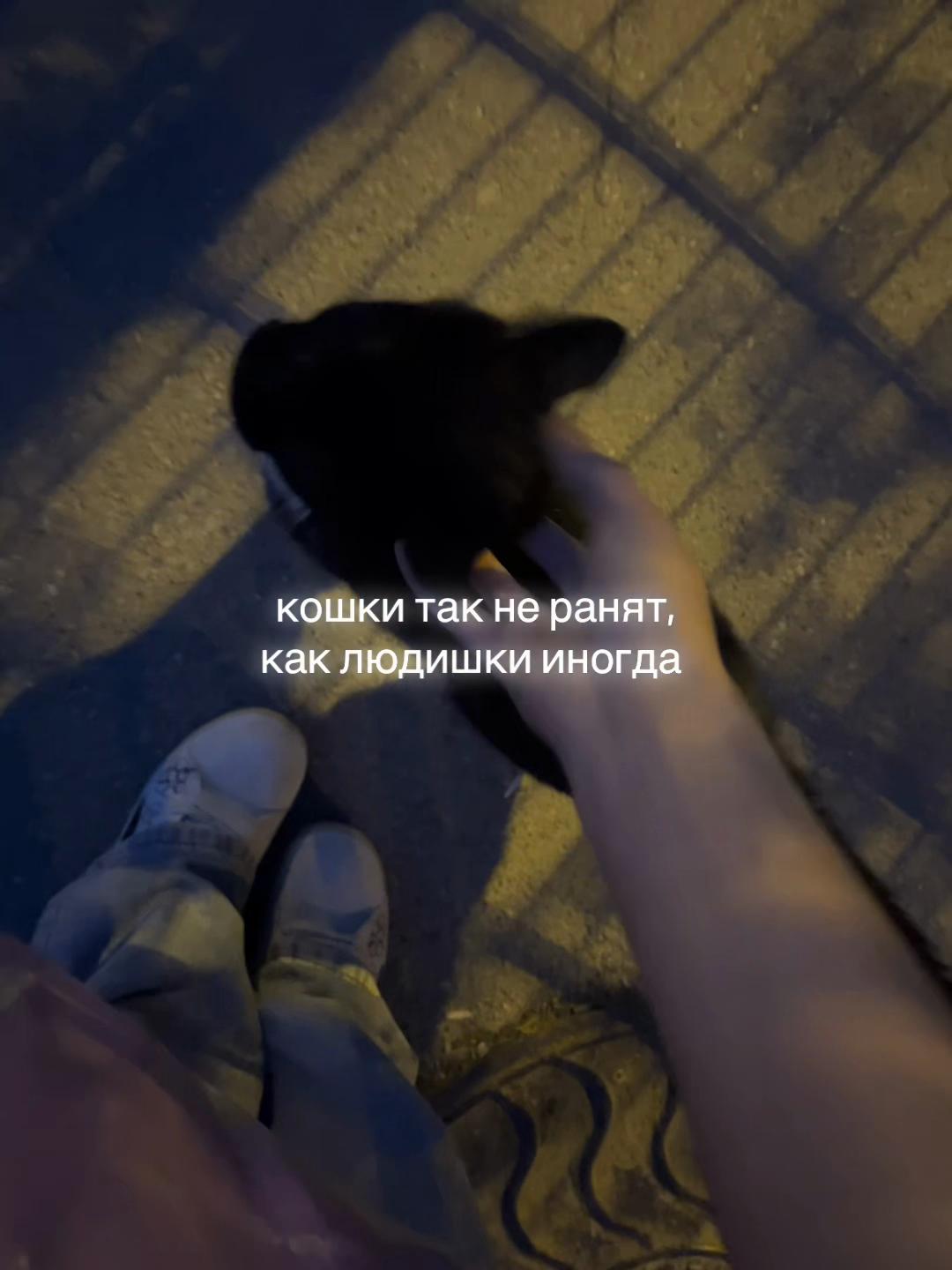 @YanKa