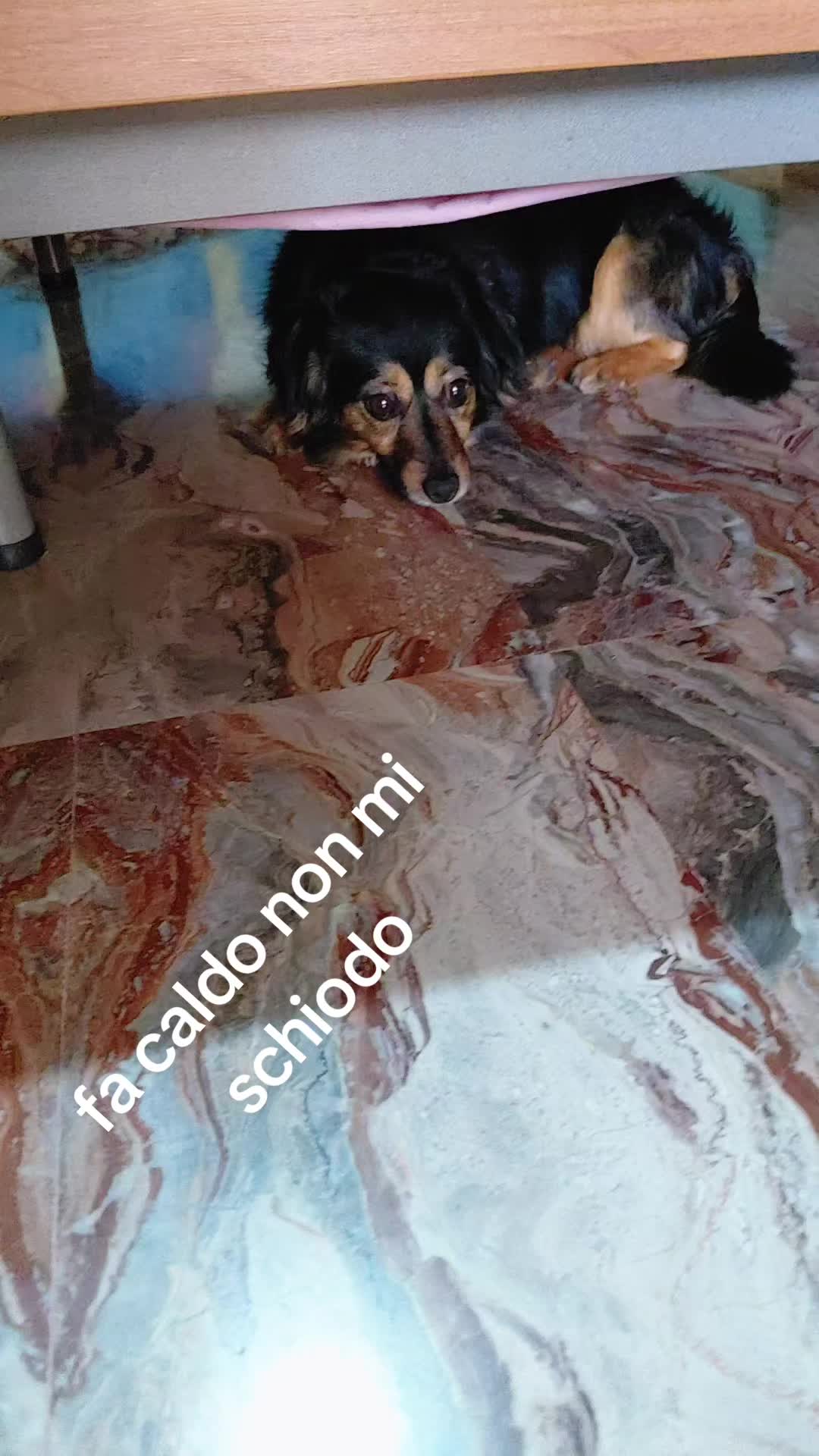 @le creazioni di lucia