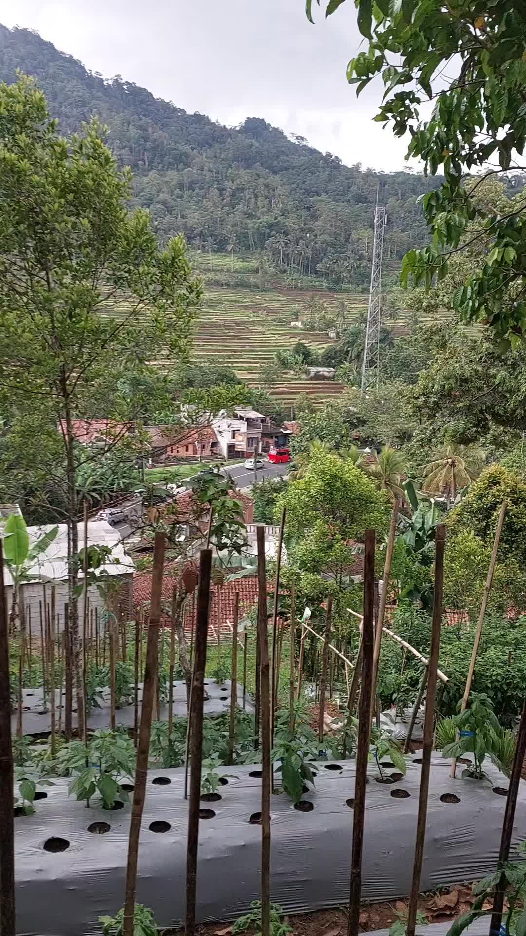 @ROMA ROMI WANHAY