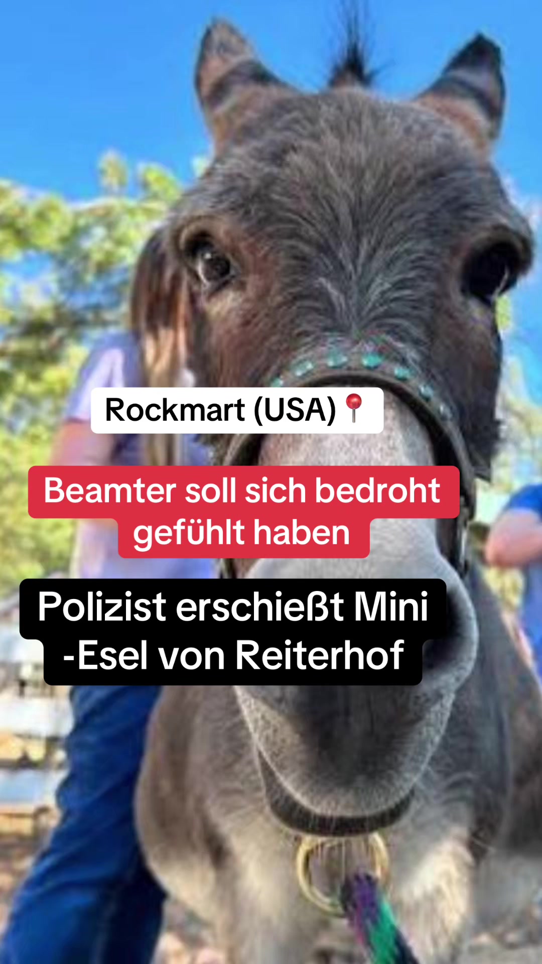 @BreakingNewsGermany3