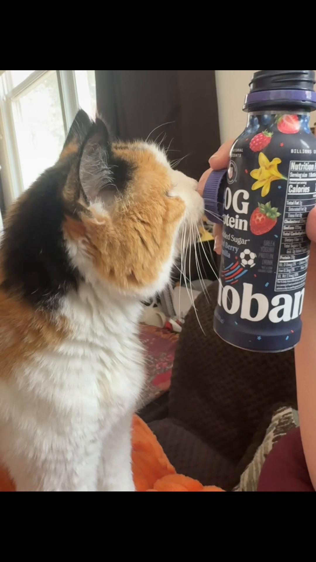 @MeowZa